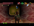 Mr. Jabu-Jabu's Stomach - Passage Problem